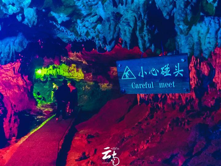 一粒种子如何获得“身份证”?如何成为“国家队”的一员?记者探访“种子银行”