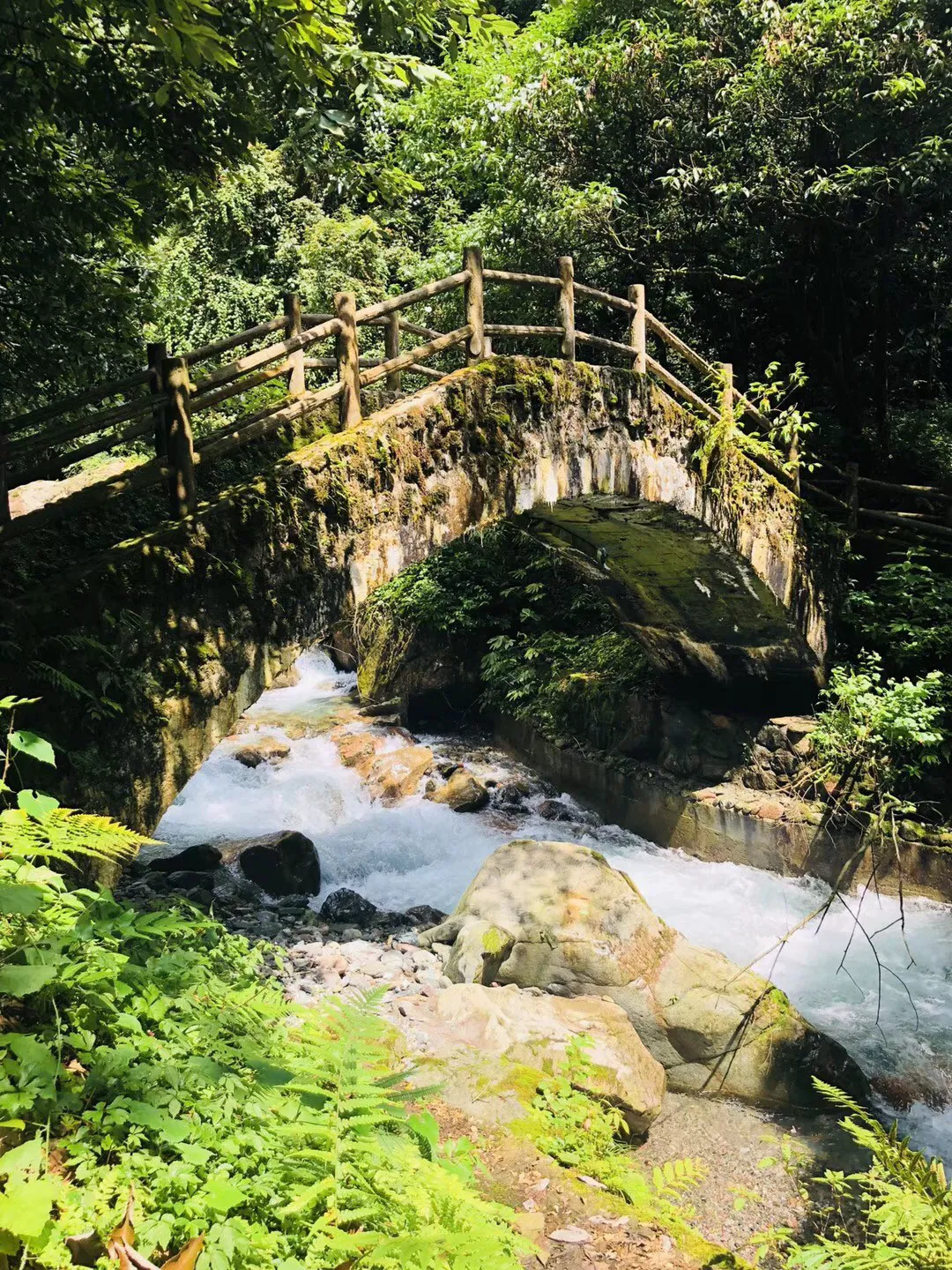 低温雨雪冰冻灾害Ⅳ级应急响应启动 超8万名应急救援力量前置一线