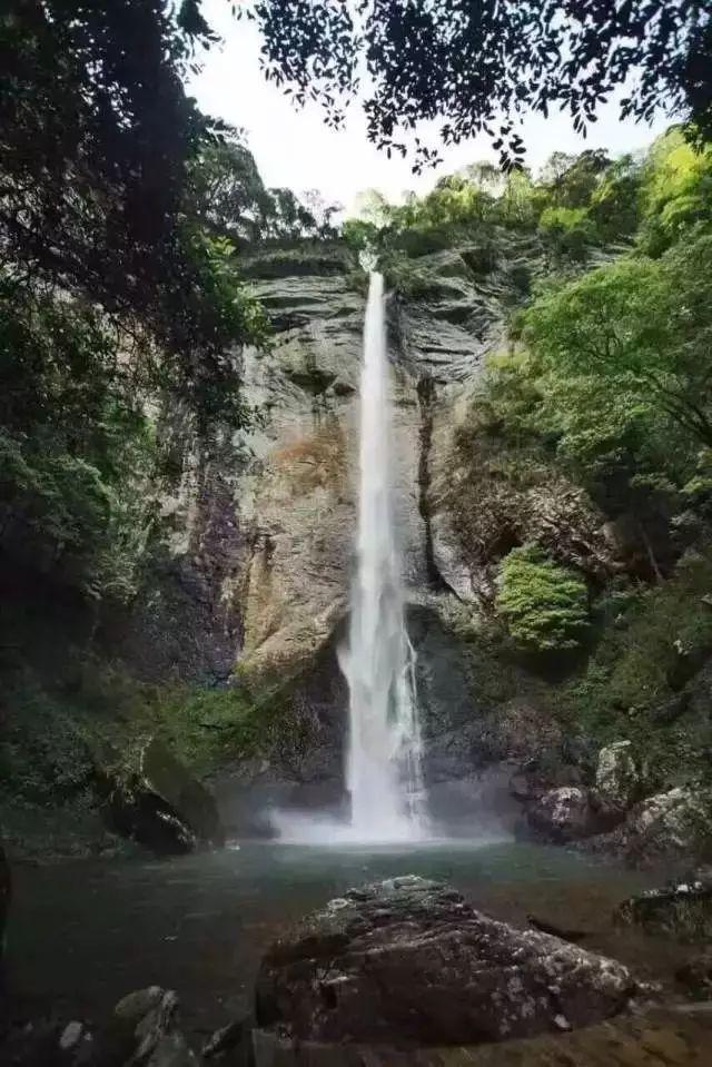 游客和司机吐槽吃了亏，感觉被哈尔滨伤害了，司机下车买糖葫芦安慰小土豆